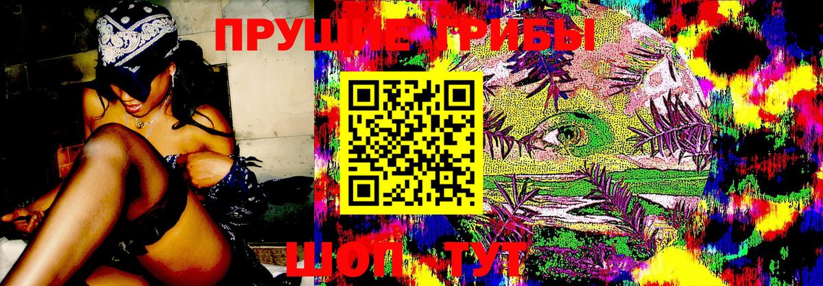 Галлюциногенные грибы Psilocybe  Вход с VPN  цены наркотик  Партизанск 