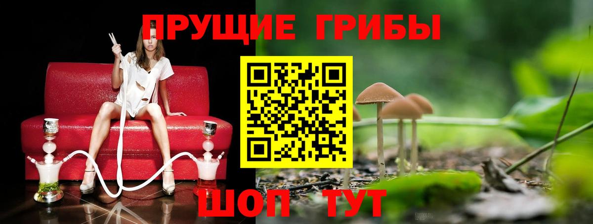 Галлюциногенные грибы ЛСД Партизанск